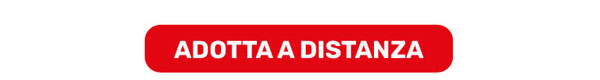 adotta a distanza